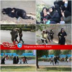تصاویر دیگری از این حمله تروریستی
