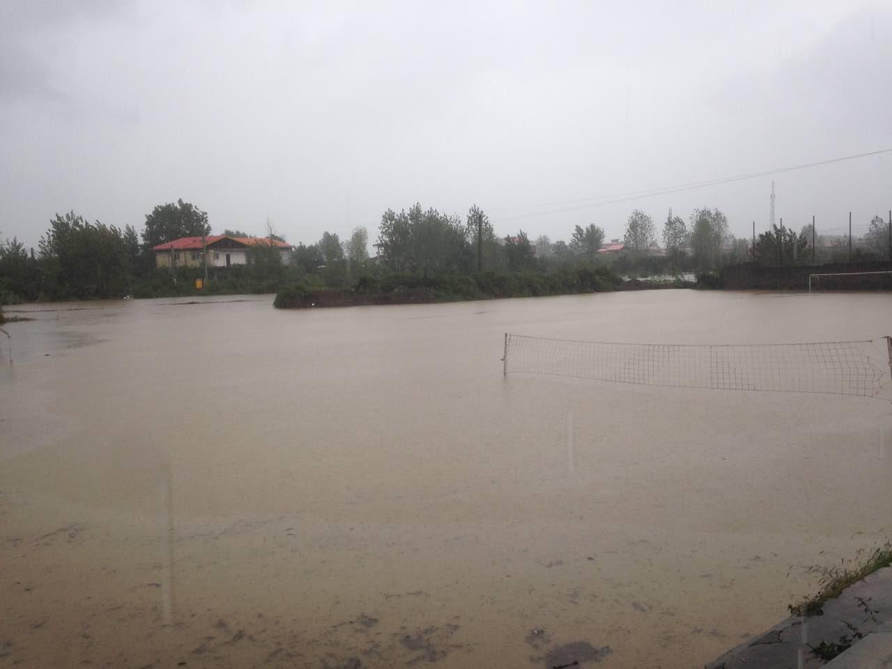 سیل