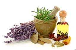 بهترین داروهای گیاهی برای بانوان را بشناسید