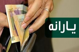 سخنگوی شناسایی مشمولان طرح حمایت معیشتی ؛ طرح یارانه ترکیبی فعلا اجرا نمی شود