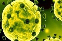 آمریکا، انگلیس، فرانسه، آلمان و ایتالیا چه روشی برای مبارزه با کرونا دارند؟
