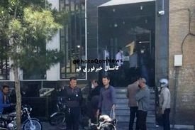گاو به جای قسط بانک!
