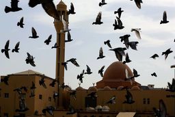 نماز عید فطر در مساجد عربستان و امارات برگزار نمی‌شود
