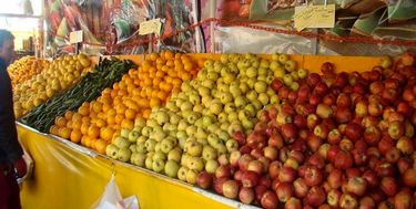 میادین میوه و تره بار روزهای ۱۴ و ۱۵ خرداد باز هستند