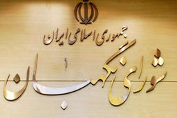 از هر طرح یا لایحه‌ای در صیانت از کرامت و امنیت زنان استقبال می‌کنیم