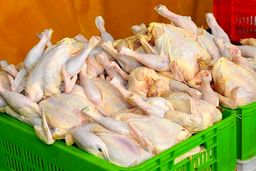 درخواست تجدیدنظر اساسی و فوری در قیمت اعلام‌شده مرغ