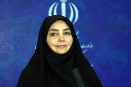 مشکلات نیروهای بهداشت در دست پیگیری است