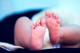 جهان تاب کاهش زاد و ولد را ندارد