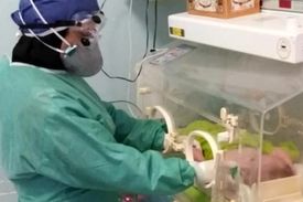 کرونا جان نوزاد دو روزه را در گناباد گرفت / مادر ‌کودک ‌در عروسی شرکت کرده بود
