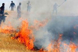 آتش‌ در منطقه &#8220;گاچال&#8221; کوهدشت دوباره شعله‌ور شد