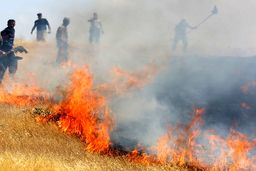 اطفاء آتش‌سوزی در کوهدشت/ دستگیری عوامل حریق