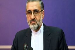سخنگوی قوه قضاییه: زمان اجرای دقیق حکم مهدی هاشمی را نمی دانم