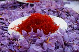 کاهش ۱۰ درصدی صادرات طلای سرخ/حداکثر قیمت هر کیلو زعفران، ۱۲ میلیون تومان است