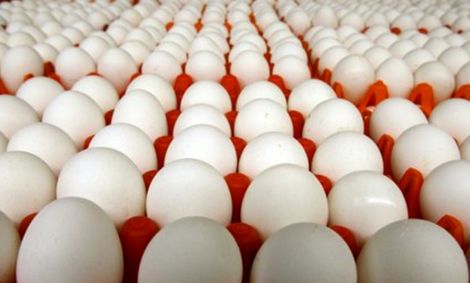 تخم مرغ شانه‌ای ۳۸ هزار تومان شد!