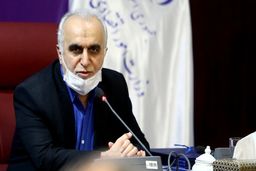 وزیر اقتصاد: عده‌ای به دنبال بُزخری سهام مردم هستند