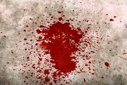 مرگ رازآلود در خانه شماره ٢٩