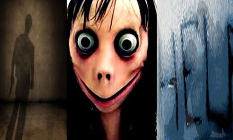 از نهنگ آبی تا مومو؛ جانوران قاتل چگونه دست به تسخیر انسان میزنند؟