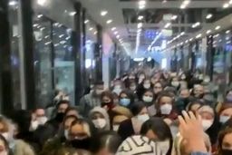 “بلک‌فرایدی”؛ موسمی برای “مرگ”