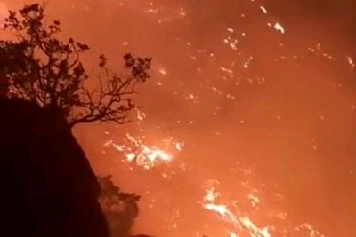 وقوع ۳۰ فقره آتش سوزی در جنگل های مازندران