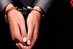 بازداشت ۱۳ دلال و محتکر نهاده‌های دامی