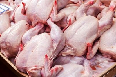 علت افزایش قیمت مرغ/ باید هزینه تولید را جبران می کردیم