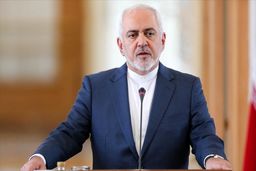 ظریف با فؤاد حسین دیدار کرد