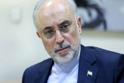 علی اکبر صالحی: به این نتیجه رسیدم که حضور در عرصه انتخابات برای بنده، مقبول و ممدوح نیست