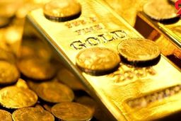 دلیل هجوم نقدینگی ها به سمت بازار ارز و طلا