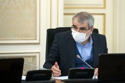 کدخدایی: مشکلات موجود در روند اخذ رای را پیگیری کردیم و حل شده است