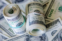 ثبات نرخ ارز در بازار؛ دلار ۲۴ هزار و ۹۷۹ تومان است