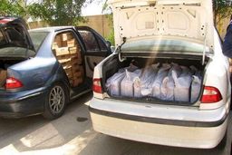 جان در‌ ازای نان؛ شوتی گری همتای جدید سوخت بری و کولبری