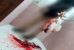 این زنان “قصاب” نیستند؛ “بیمار”ند با ویروسی مسری‌تر از کرونا