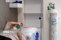 فوت ۳۰ درصد مبتلایان به قارچ سیاه در یک بیمارستان تهران
