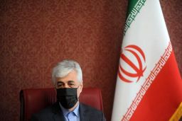 سرخابی‌ها تا ۲ ماه آینده خصوصی‌ می‌شوند