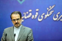 حسن رعیت به ۳۵ سال حبس محکوم شد