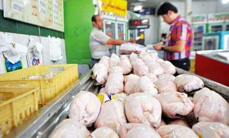دامپزشکی: اکثر مرغداران قبل از سربریدن مرغ‌ها در آب آن‌ها تریاک می‌ریزند