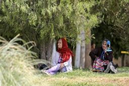“ایران” رکورد دار سرعت کاهش نرخ باروری