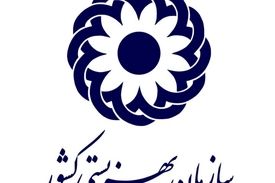 هشدار بهزیستی درمورد افزایش معلولان با اجرای قانون جوانی جمعیت &#8211; هیچ کس از ما نظرخواهی نکرد