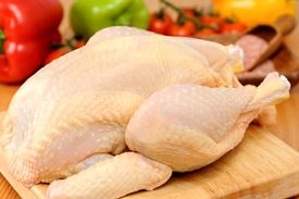 کشف انگل بیماری‌زا در مرغ‌های صنعتی و خانگی ایران