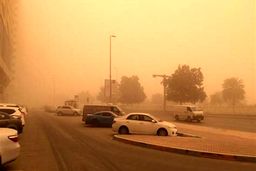 دبیر ستاد مقابله با گرد و غبار:برای مقابله با گردوغبار بودجه ای ندیدم!