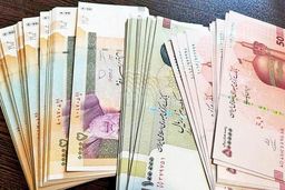 اعلام اسامی بدهکاران بزرگ بانکی خوب است، اما…