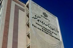 سازمان برنامه و بودجه: دولت ناچار به حذف تدریجی ارز ترجیحی است