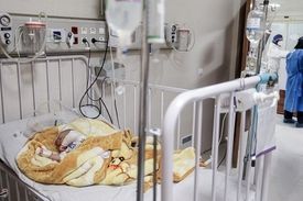 ۶۱ نوزاد در سال گذشته در سطح شهر رها شده‌اند
