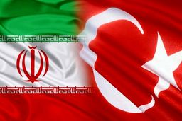 شروع نشست خبری میان چاووش اوغلو و امیرعبداللهیان
