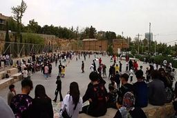 پس لرزه تجمع تفریحی نوجوانان/ کافه‌های شیراز را فله‌ای بستند