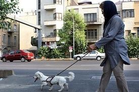 شغل سگ گردانی با حقوق ۷ میلیونی
