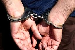 کلاهبرداری در قالب سرمایه‌گذاری با ۳۰ شاکی