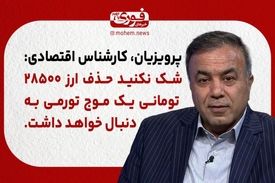 پرویزیان، کارشناس اقتصادی: شک نکنید حذف ارز ۲۸۵۰۰ تومانی یک موج تورمی به‌دنبال خواهد داشت.