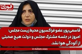 قاسمی‌پور، عضو فراکسیون محیط زیست مجلس: امروز در جلسه مشترک مجلس و دولت هیچ صحبتی از آلودگی هوا نشد.