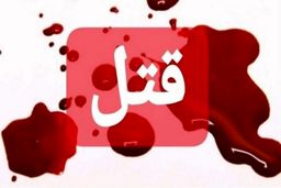 روابط نامشروع، عامل قتل استاد دانشگاه ۵۰ ساله